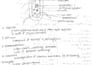 write your notes in clear and neat handwriting